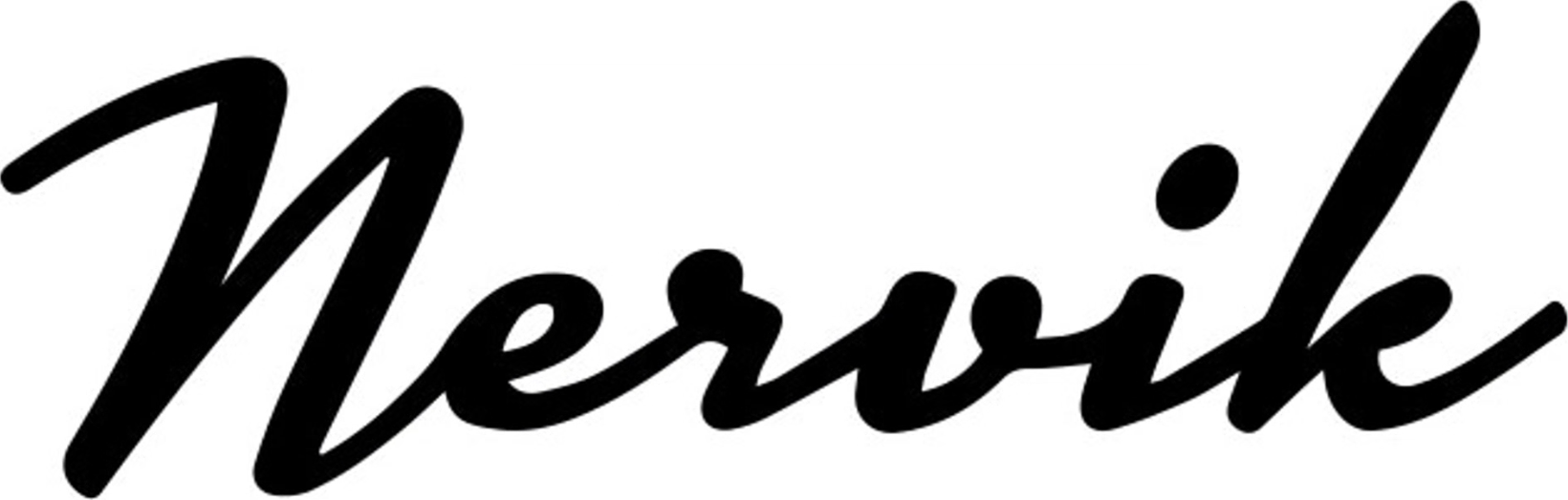 logo_nervik_bil